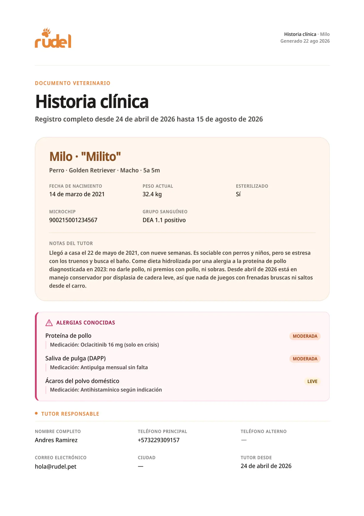 Portada del PDF exportado
