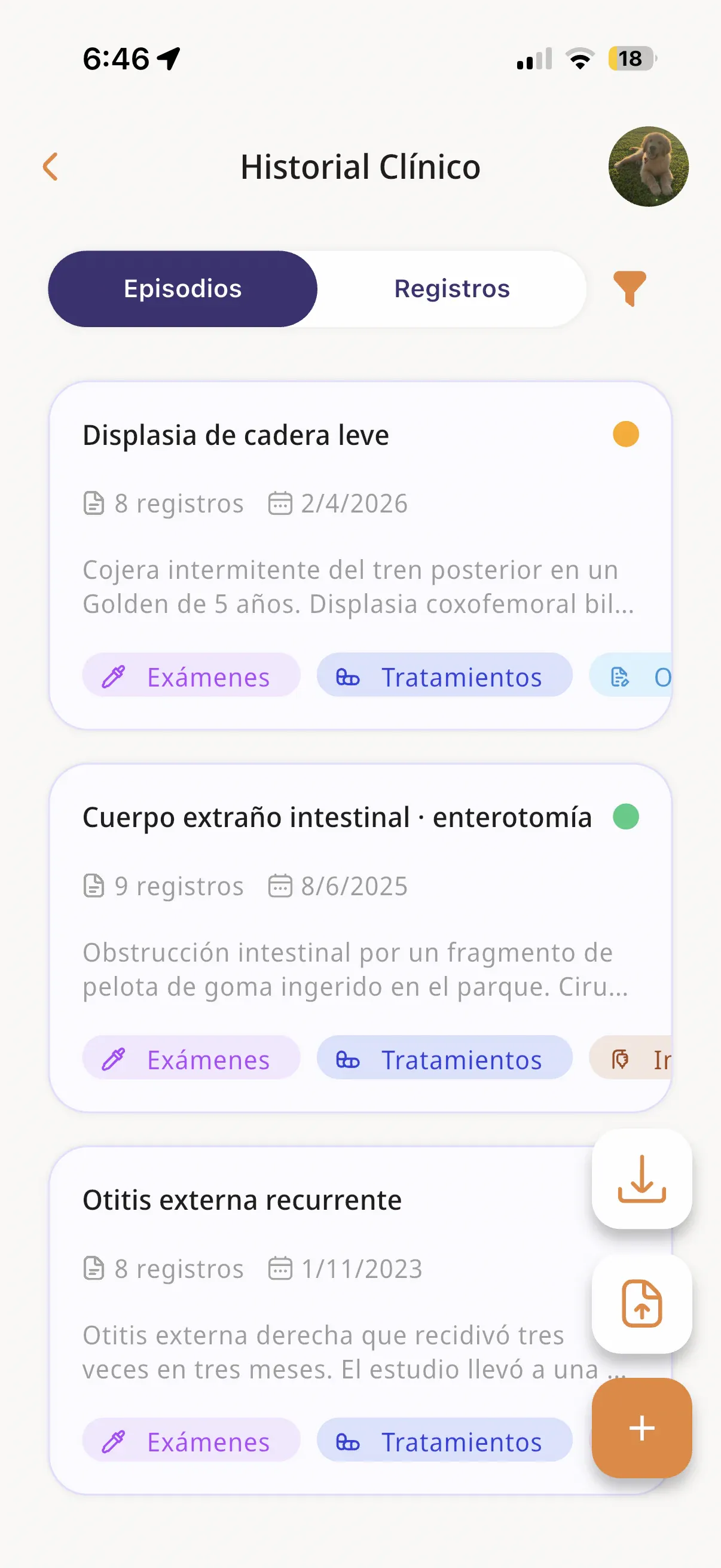 La pestaña Episodios, con un caso desplegado