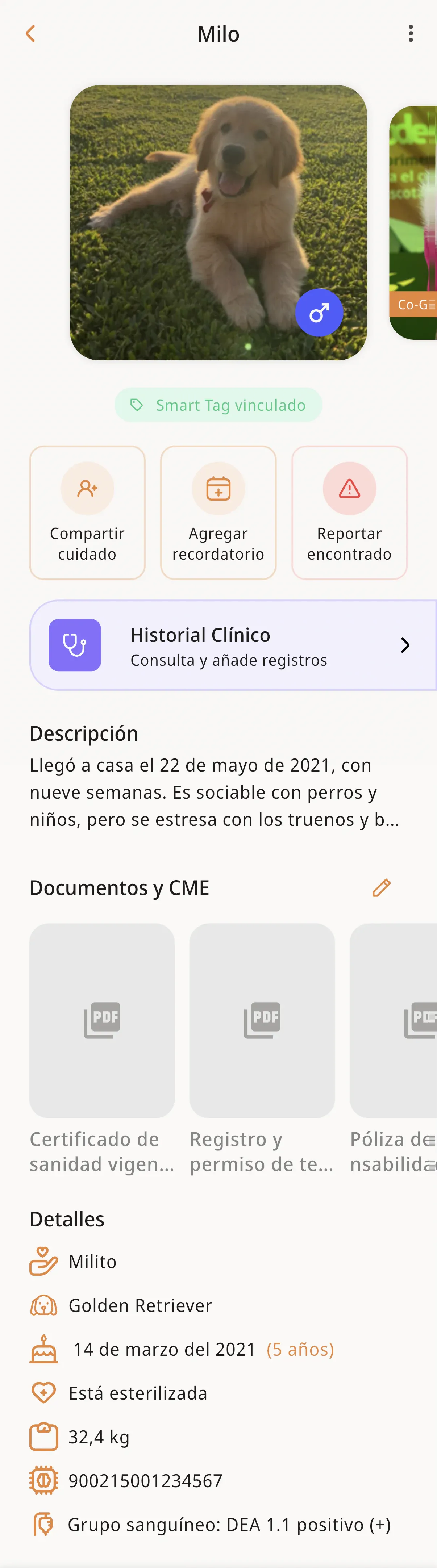 El perfil de una mascota en Rudel: la pantalla de inicio real de la app