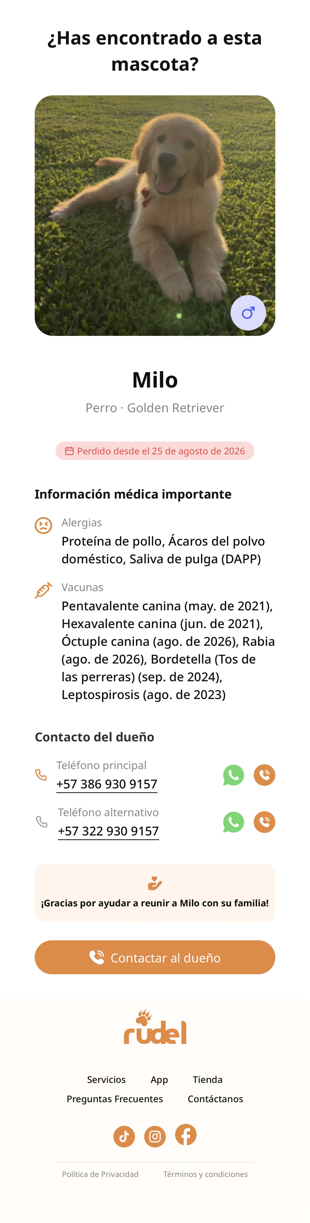 La página web real, con la mascota reportada como perdida: ¿Has encontrado a esta mascota?, su foto, sus alergias, sus vacunas y el contacto del dueño