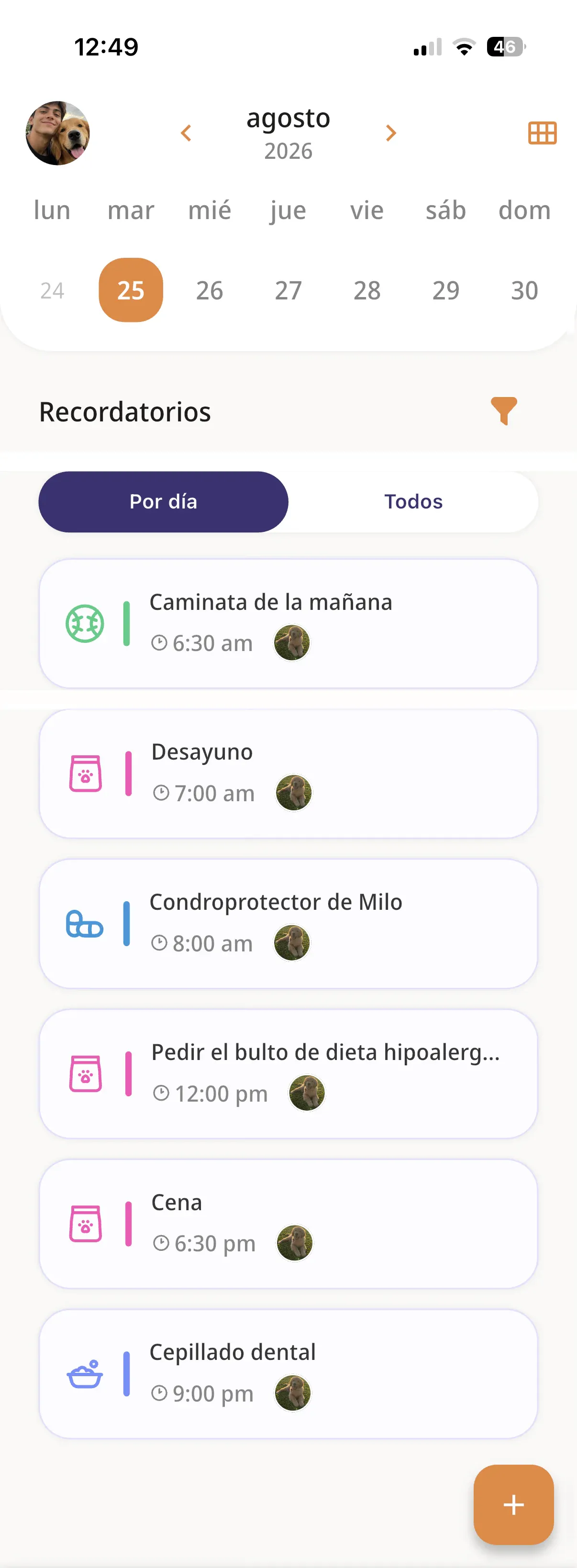 Los recordatorios del día, por categoría, la pantalla entera